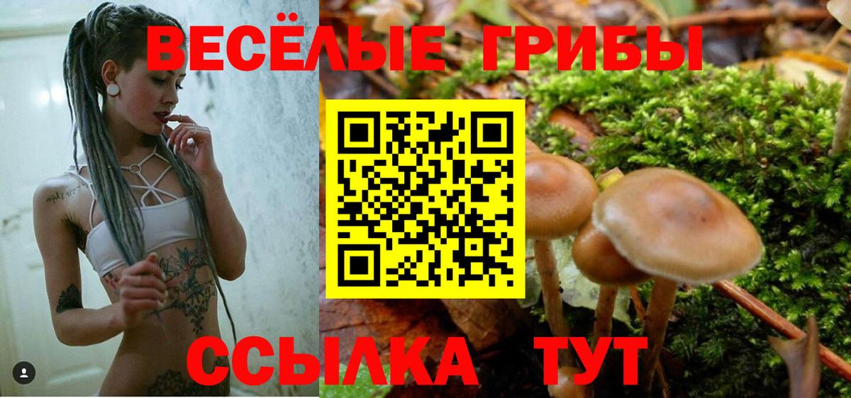 Псилоцибиновые грибы Magic Shrooms  Вход с VPN  Чебаркуль 